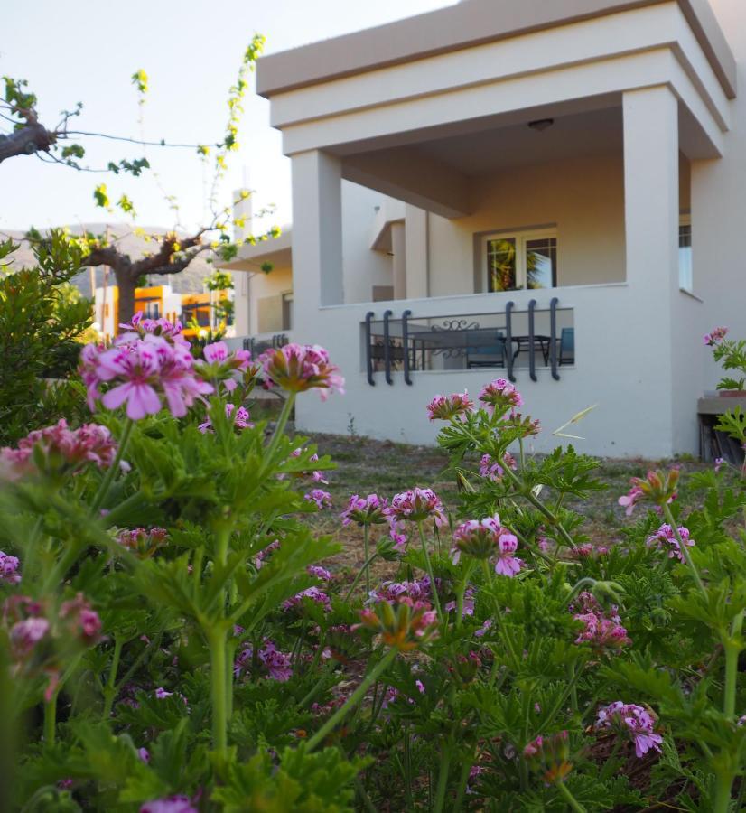 فيلا Olive House ماليا المظهر الخارجي الصورة
