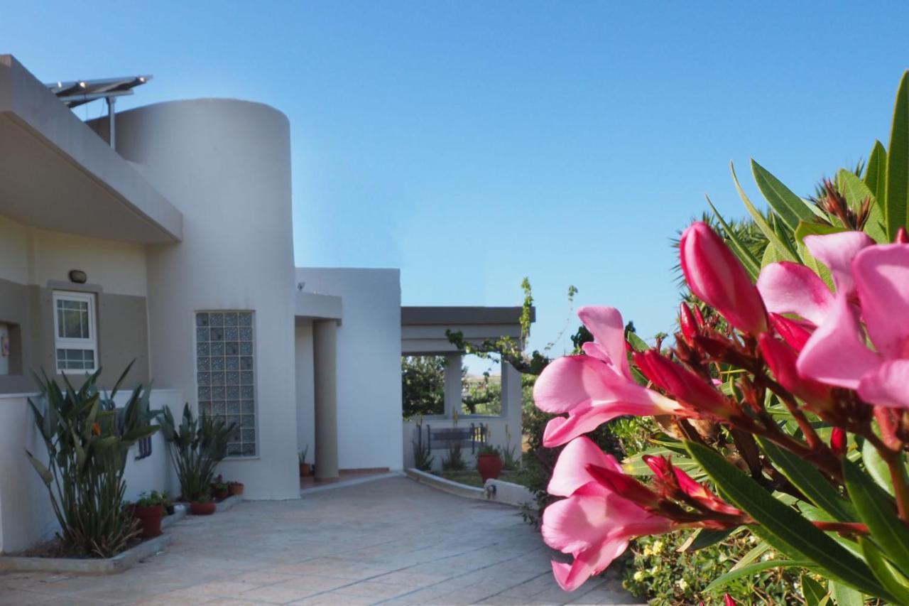 فيلا Olive House ماليا المظهر الخارجي الصورة