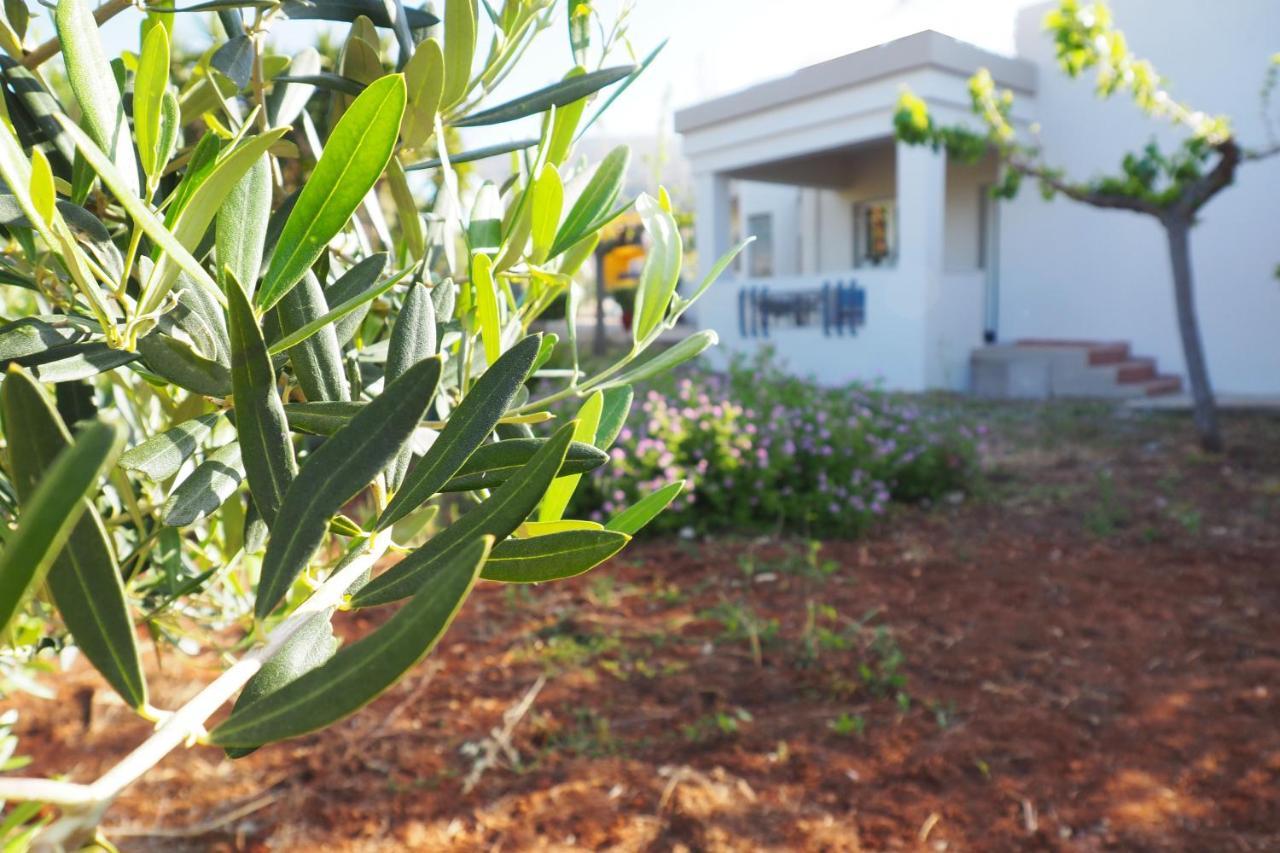 فيلا Olive House ماليا المظهر الخارجي الصورة